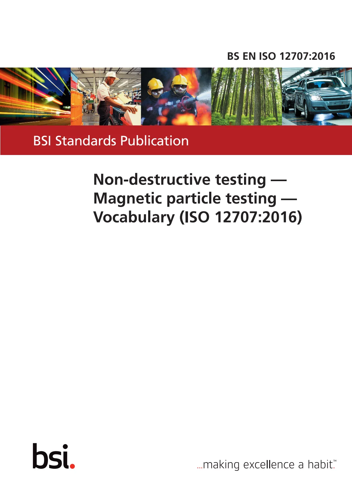 Первая страница стандарта BS EN ISO 12707:2016