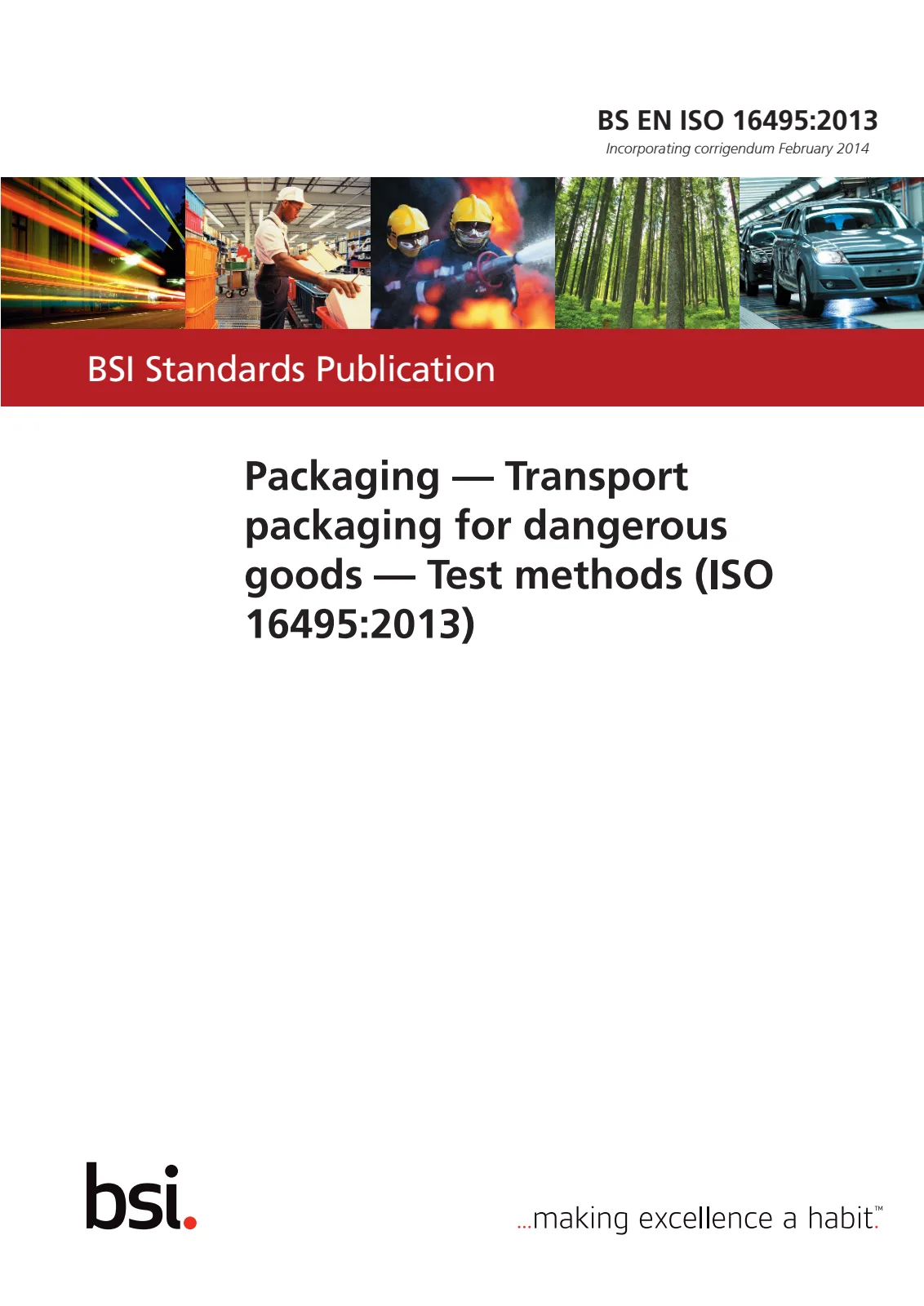 Первая страница стандарта BS EN ISO 16495:2013