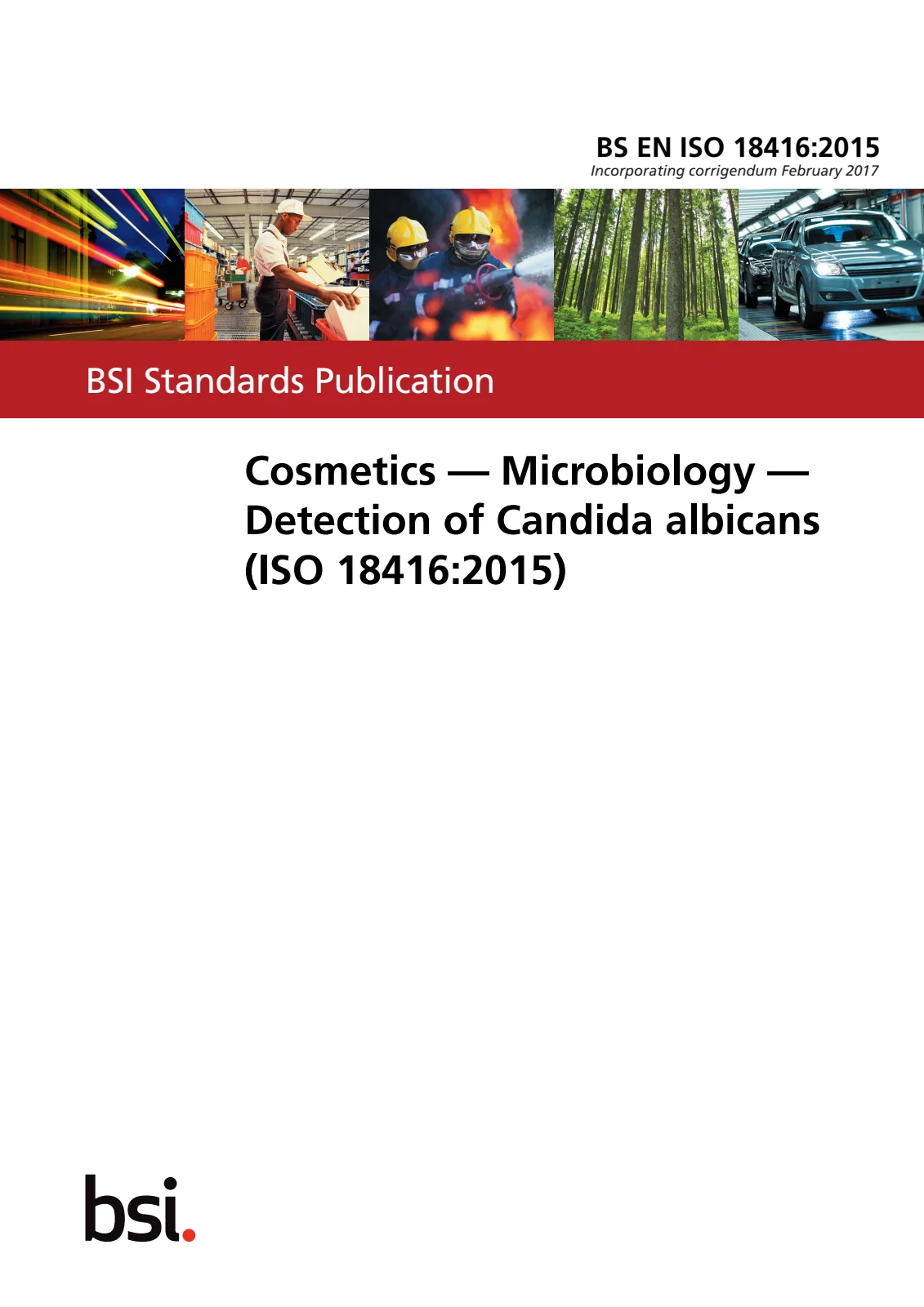 Первая страница стандарта BS EN ISO 18416:2015