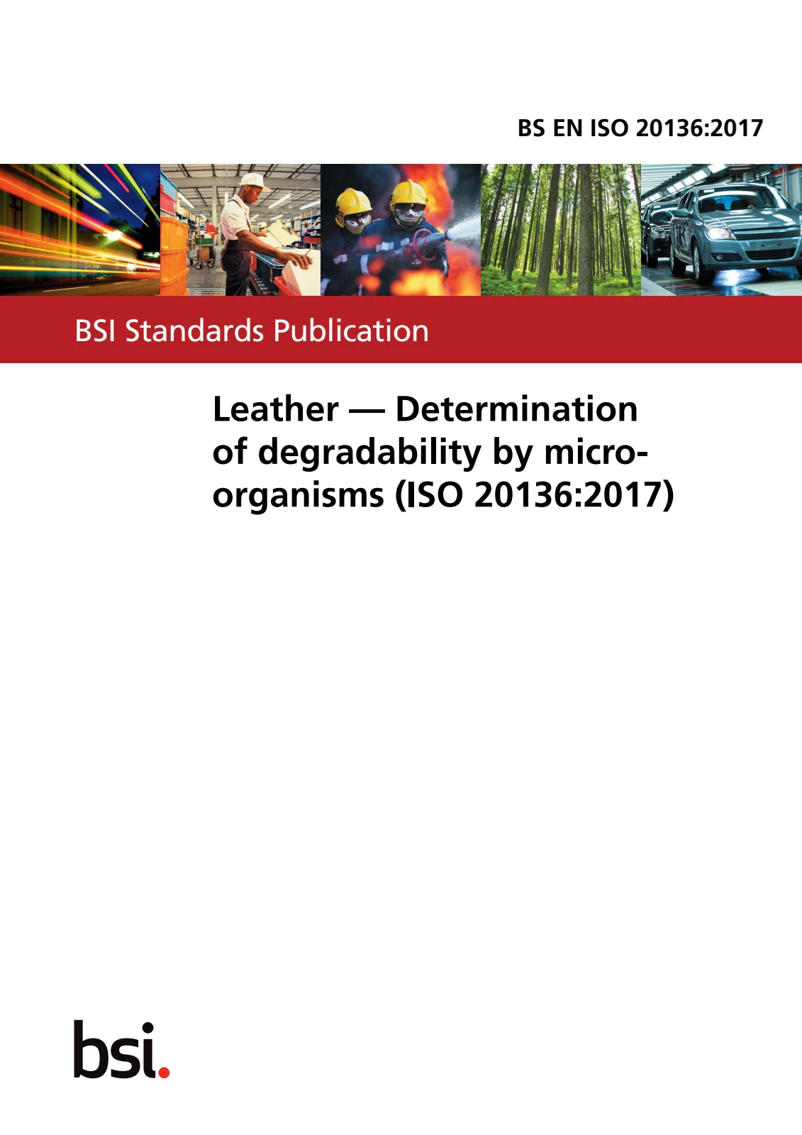 Первая страница стандарта BS EN ISO 20136:2017
