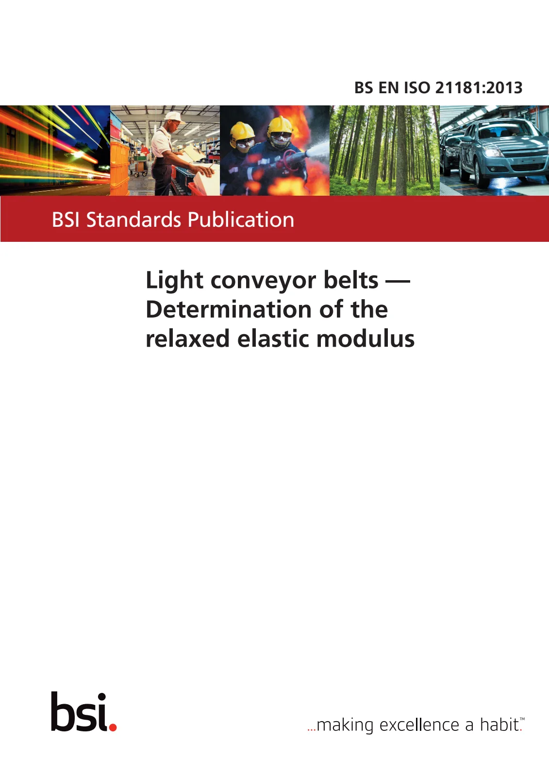 Первая страница стандарта BS EN ISO 21181:2013