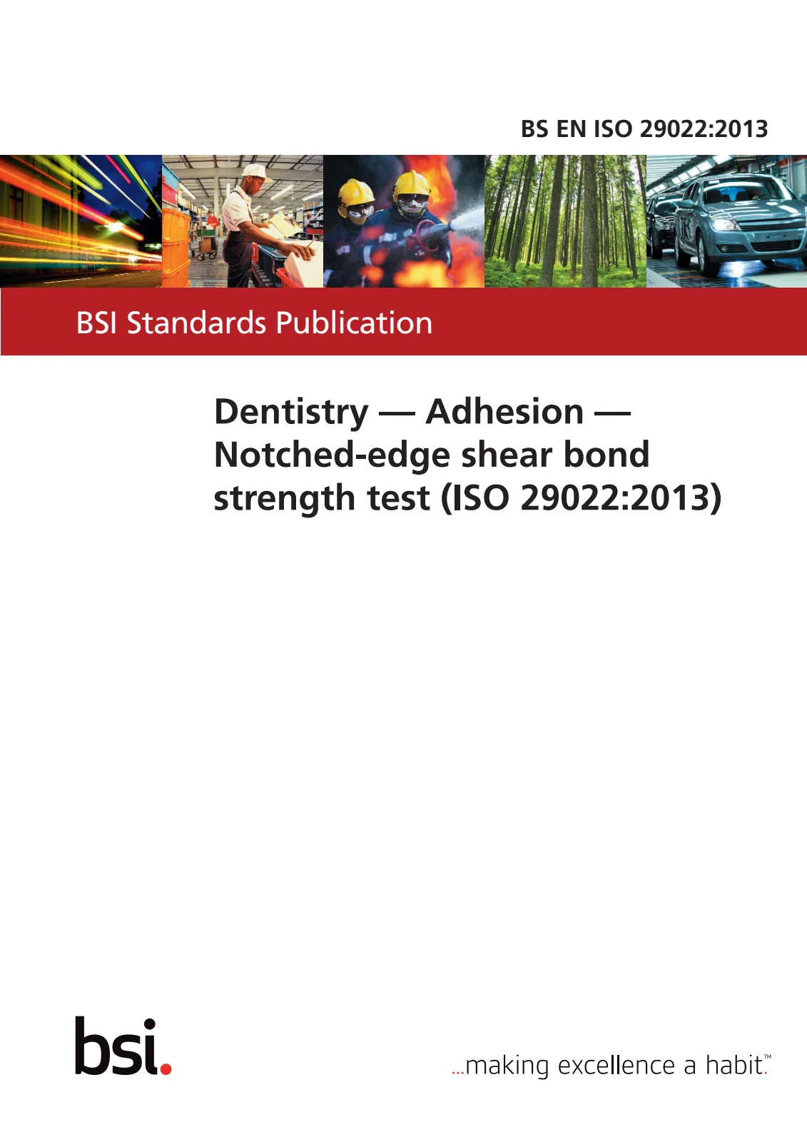 Первая страница стандарта BS EN ISO 29022:2013