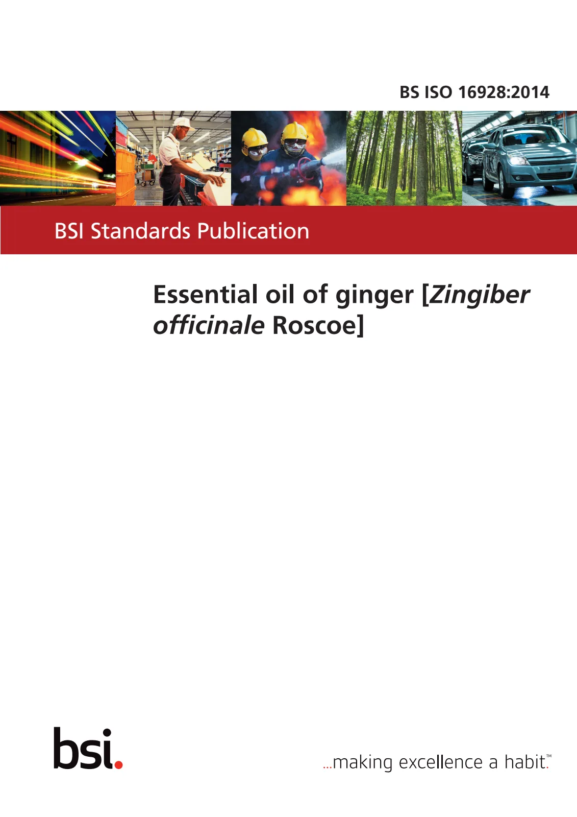 First page of standard BS ISO 16928:2014