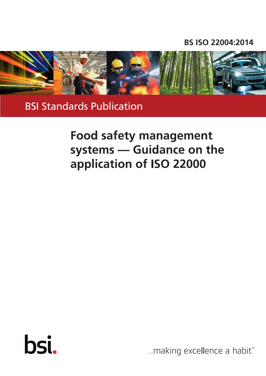 Первая страница стандарта BS ISO 22004:2014