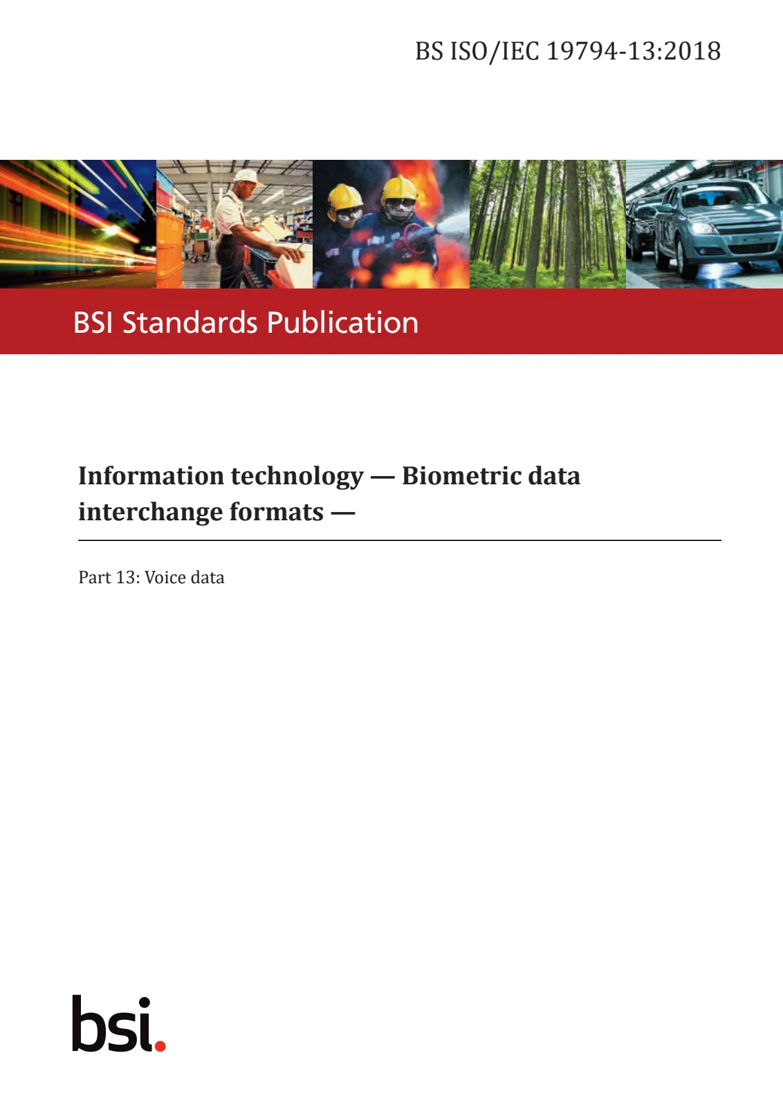 Первая страница стандарта BS ISO/IEC 19794-13:2018